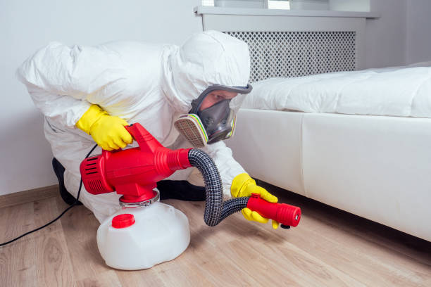 Best Termite Control Services  in Flowery Branch, GA