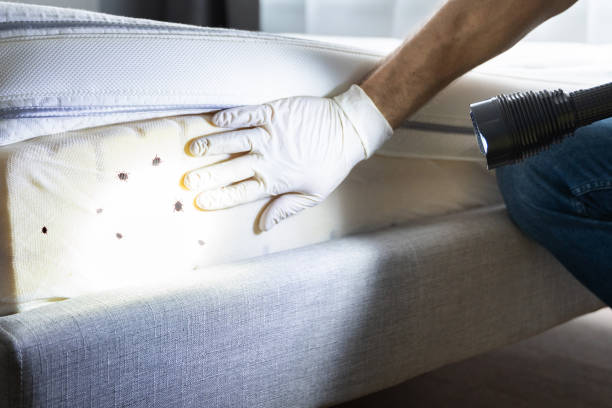 Best Pest Control Near Me  in Flowery Branch, GA