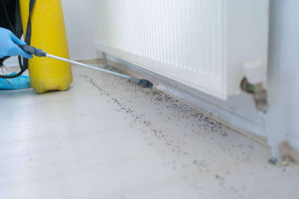 Best Emergency Pest Control  in Flowery Branch, GA