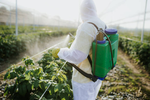 Best Wasp Removal Services  in Flowery Branch, GA